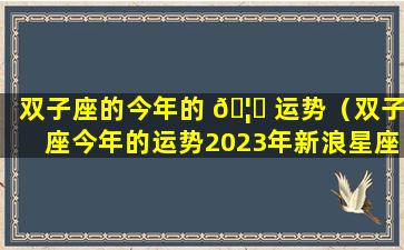 双子座的今年的 🦄 运势（双子座今年的运势2023年新浪星座）